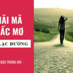 nam-mo-di-lac-duong