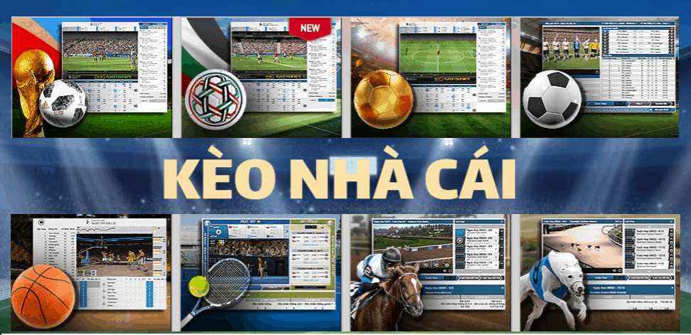Kèo tỷ số bóng đá hôm nay – Nhận định bóng đá hôm nay
