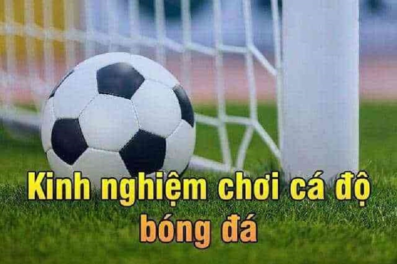 Tìm hiểu về soi kèo cá cược 