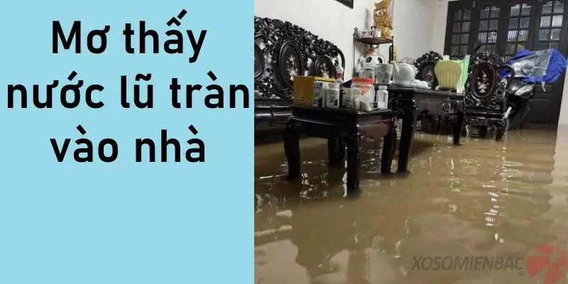 Nước lũ tràn vào nhà trong giấc mơ thường liên quan đến gia đình, tài chính, cảm xúc riêng tư hoặc những thay đổi trong đời sống cá nhân. (Nguồn: XSMB)