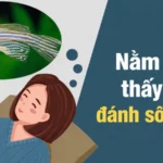 nam-mo-thay-ca-danh-so-may-giai-ma-diem-bao-va-con-so-2