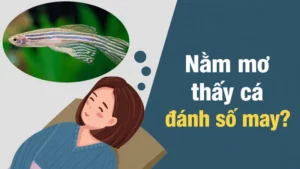 nam-mo-thay-ca-danh-so-may-giai-ma-diem-bao-va-con-so-2