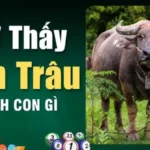 nam-mo-thay-trau-den-danh-so-gi-giai-ma-y-nghia-chi-tiet-8