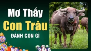 nam-mo-thay-trau-den-danh-so-gi-giai-ma-y-nghia-chi-tiet-8