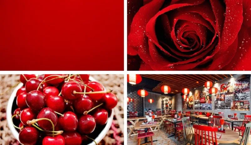 Màu đỏ thường được sử dụng để truyền tải năng lượng, tình yêu, sức mạnh và sự chú ý, đồng thời tạo điểm nhấn mạnh trong hội họa, quảng cáo và thiết kế.