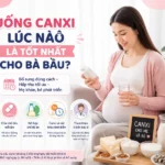 uong-canxi-luc-nao-tot-nhat-cho-ba-bau-giup-hap-thu-hieu-qua-2